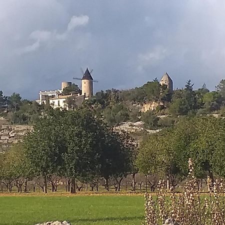 Villa Beatrice Sencelles Екстериор снимка